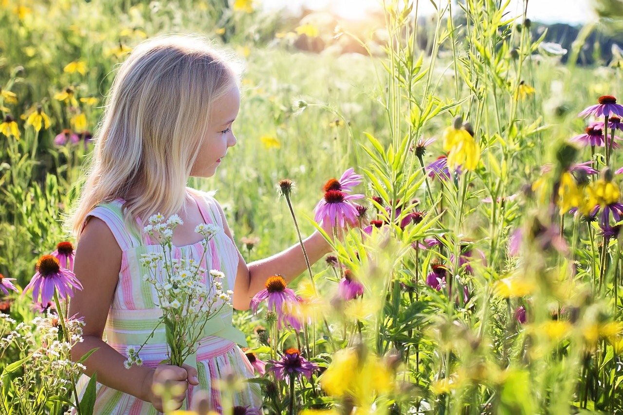Little girl in sunlit field of flowers